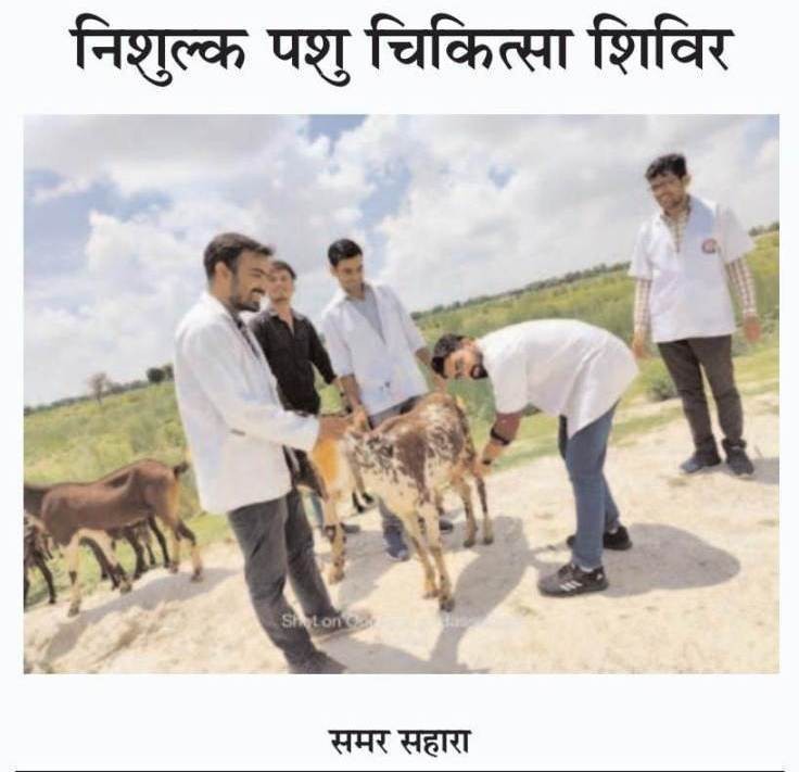 Weekly Free Veterinary Camp at Village Dhola Ka Bas